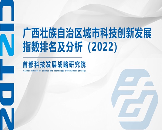 日小骚逼高潮【成果发布】广西壮族自治区城市科技创新发展指数排名及分析（2022）